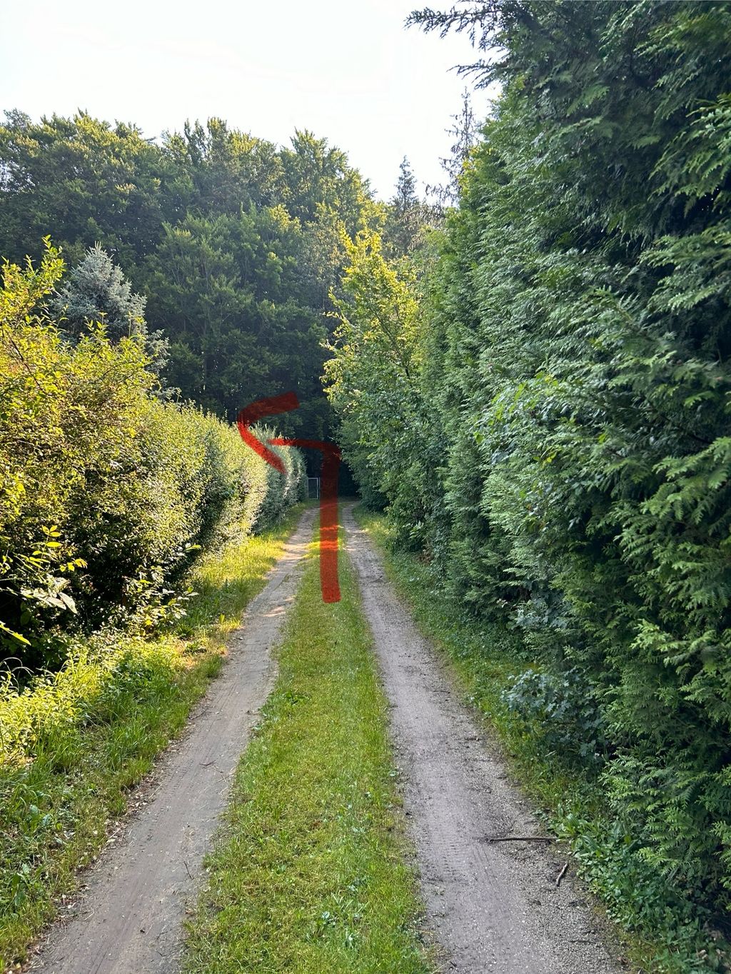 Camping en el Fränk. Suiza Privado en 1800 metros cuadrados.