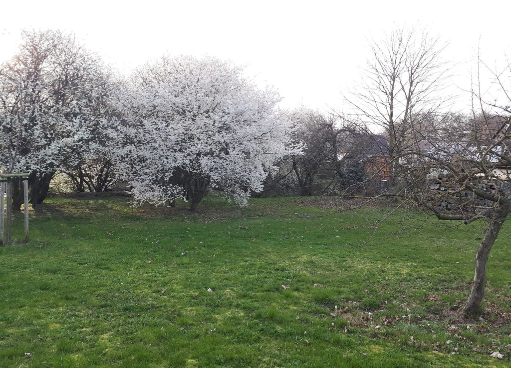 Experience nature near Jena