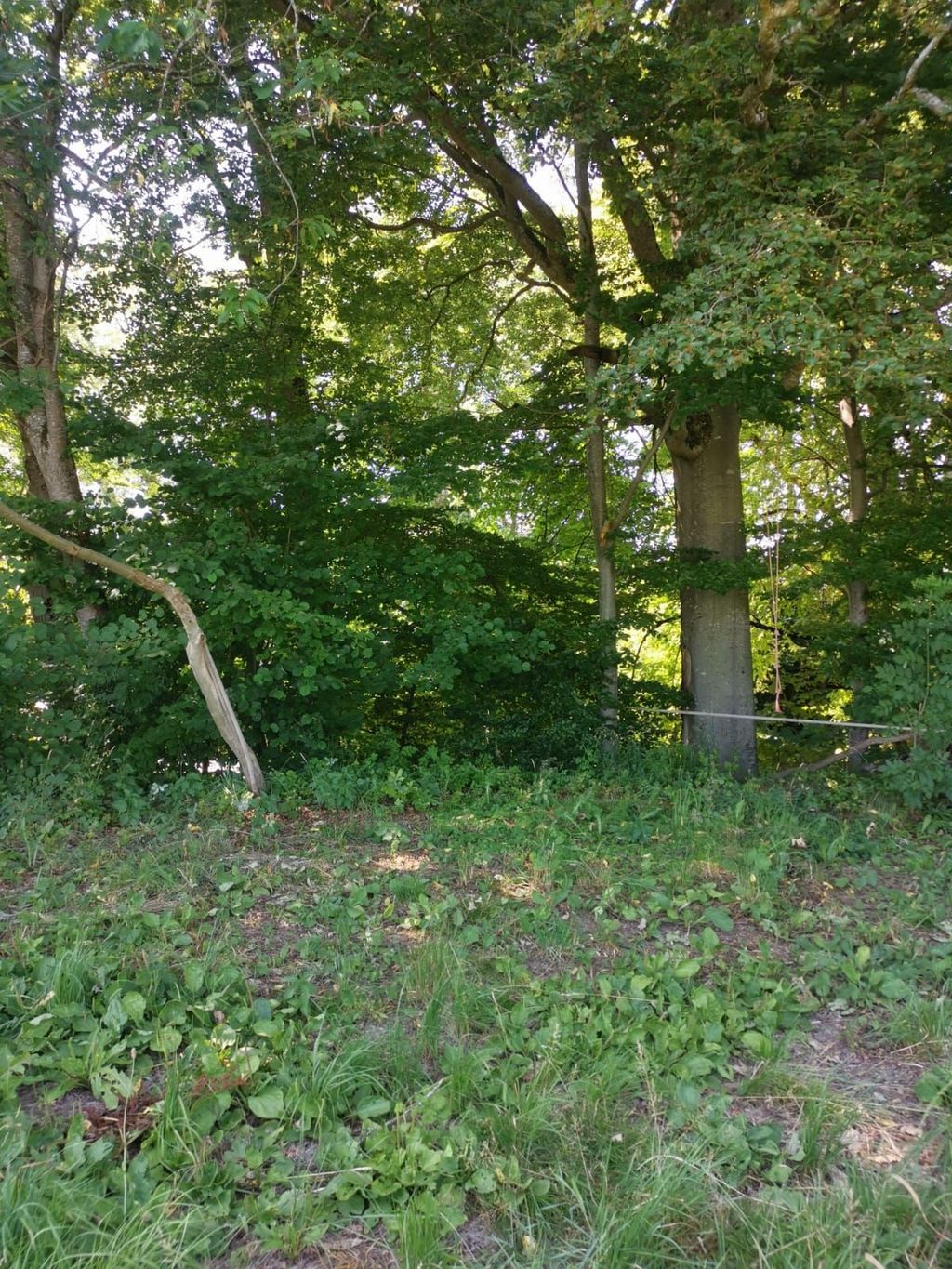 Platz im Allgäu - geschützte und idyllische Lage