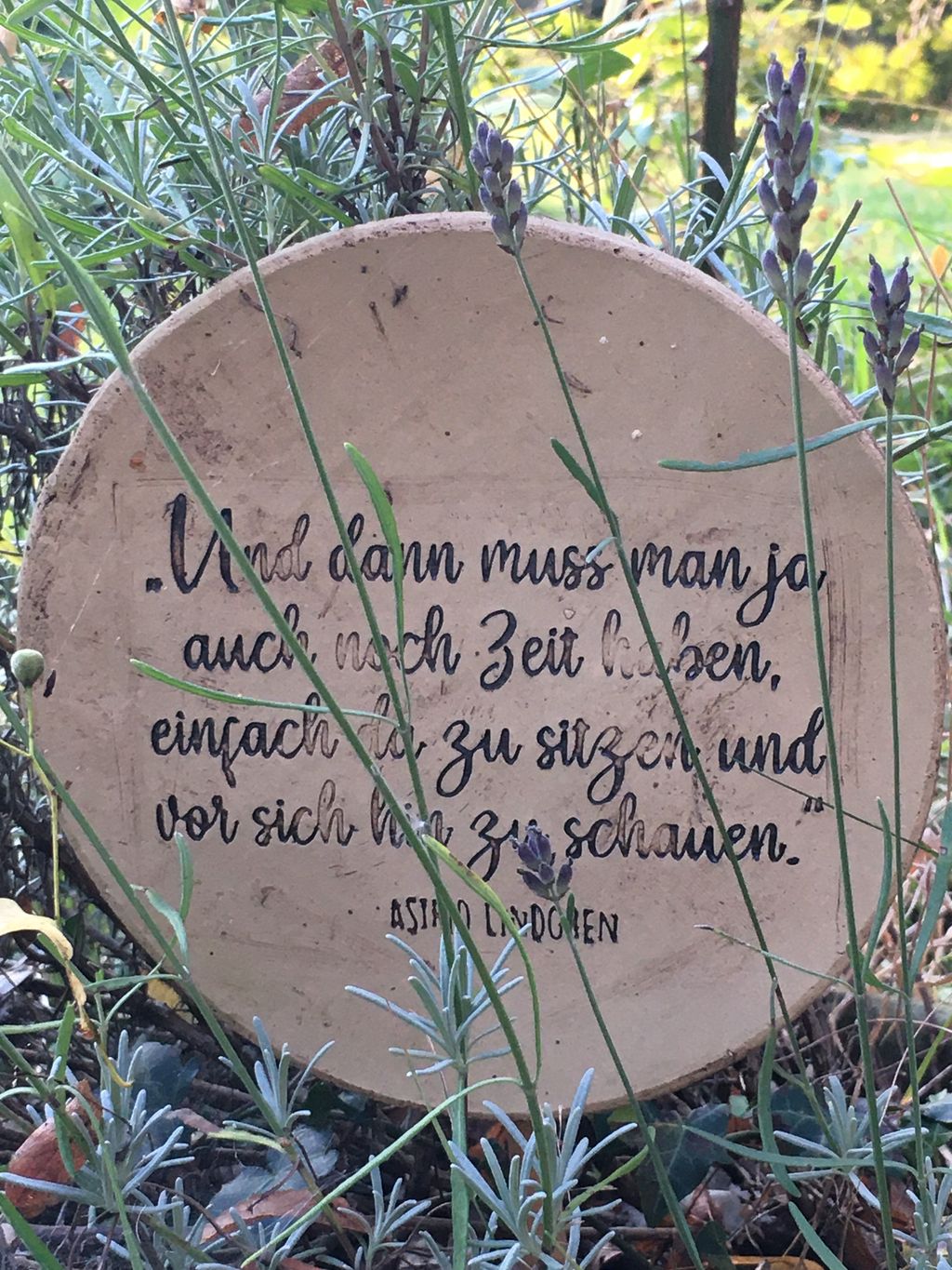 Paradis naturel entouré de vieux chênes