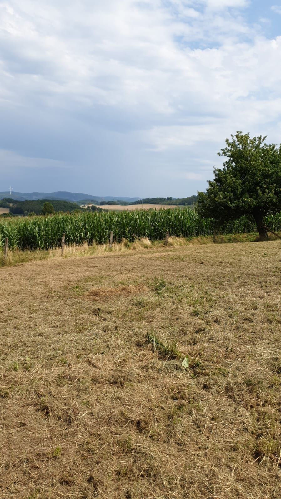 Stellplatz am Ortsrand mit weitem Blick