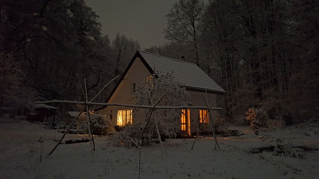 Mitten im Wald – Natur, Sauna & Sterne