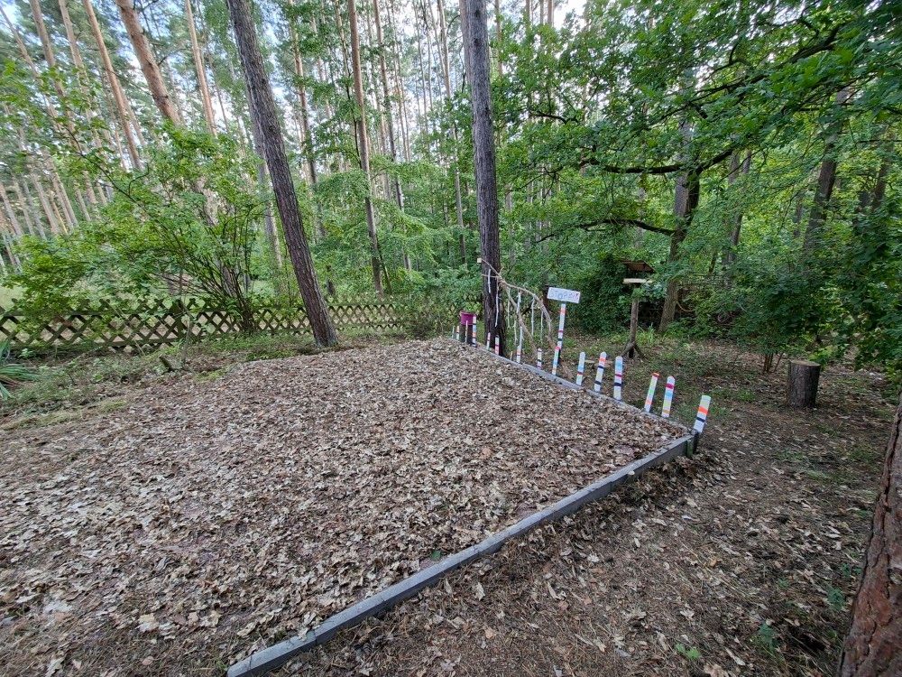 Entre pins sylvestres et landes – à seulement 300 m du lac