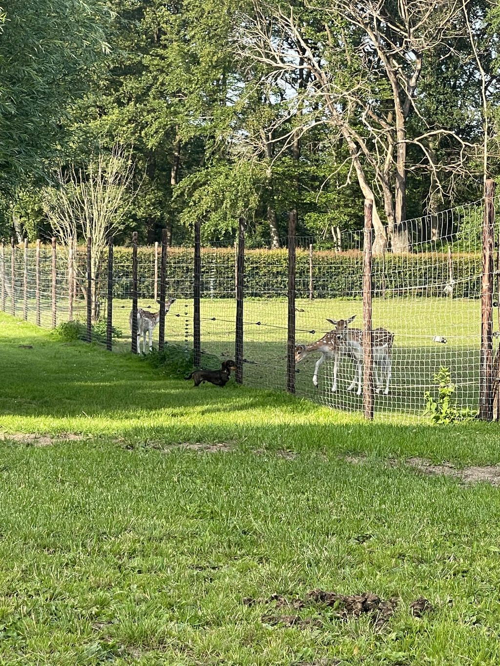 Posto letto sul Basso Reno con o senza cavallo