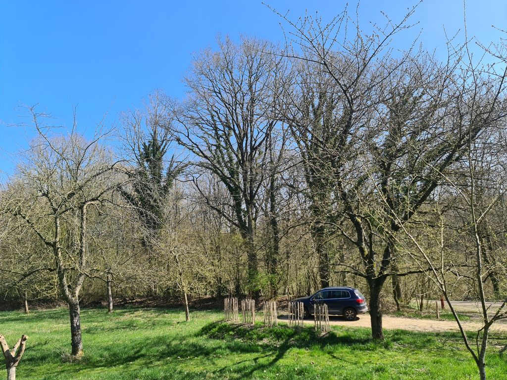 Acampar en el huerto del antiguo bosque de la granja