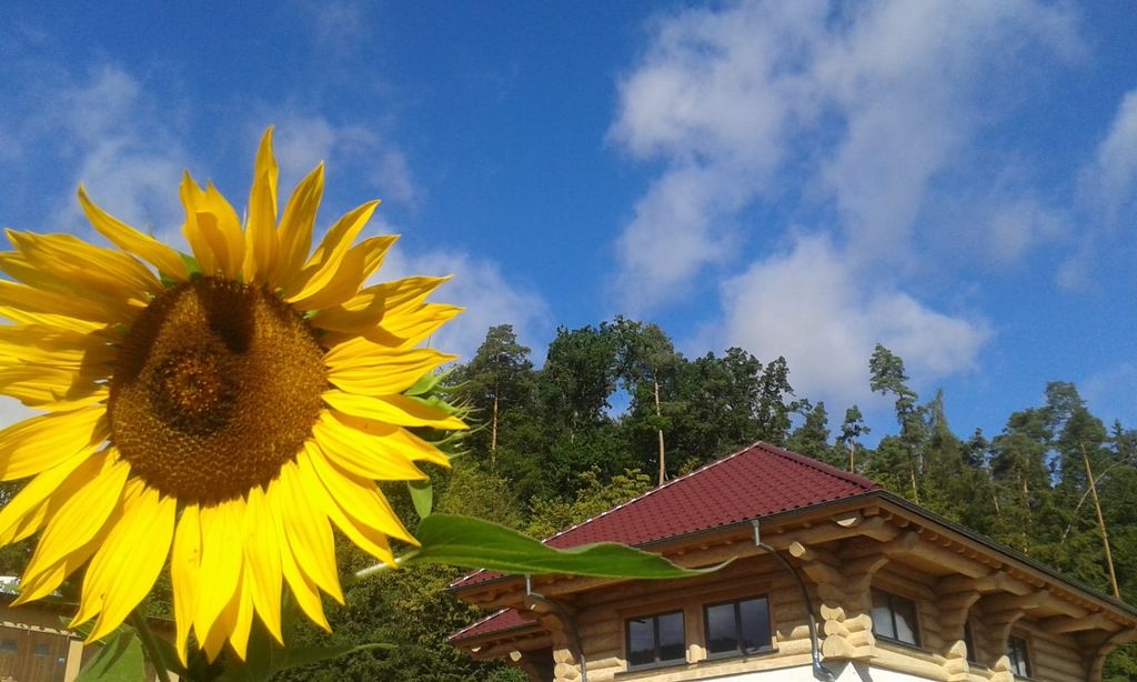 At the log cabin in the Spessart on the edge of the forest