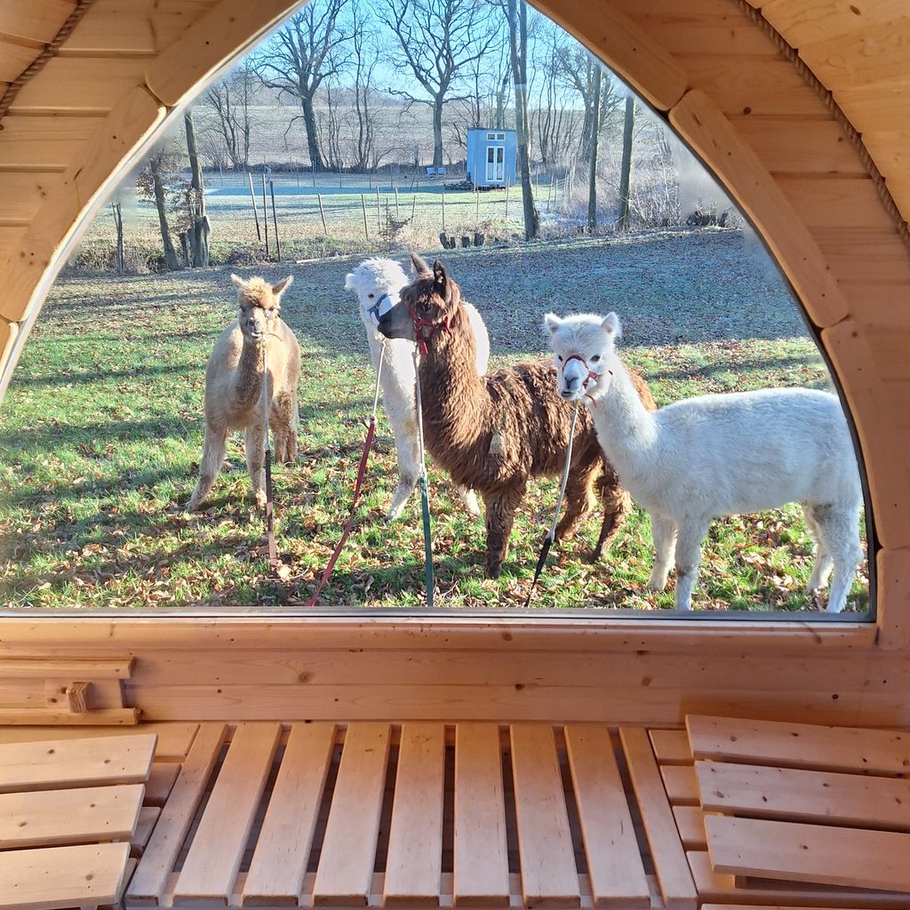 Gemeinsam entspannen  !