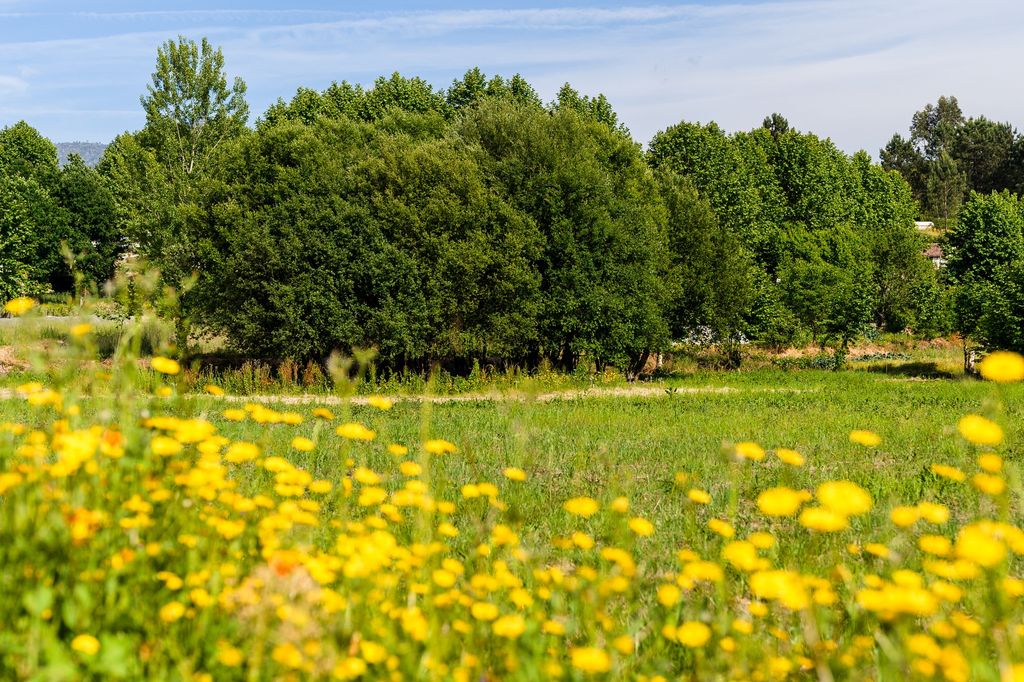 Mikrocamping in der Natur bei Veade Rive- Escape Portugal