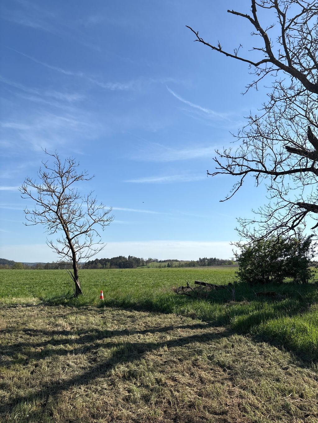 Une idylle près du noyer : une prairie bio pour les amoureux de la nature
