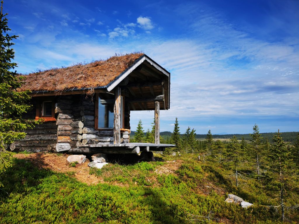 rustic log cabin "Mad Muskox" - border to wilderness