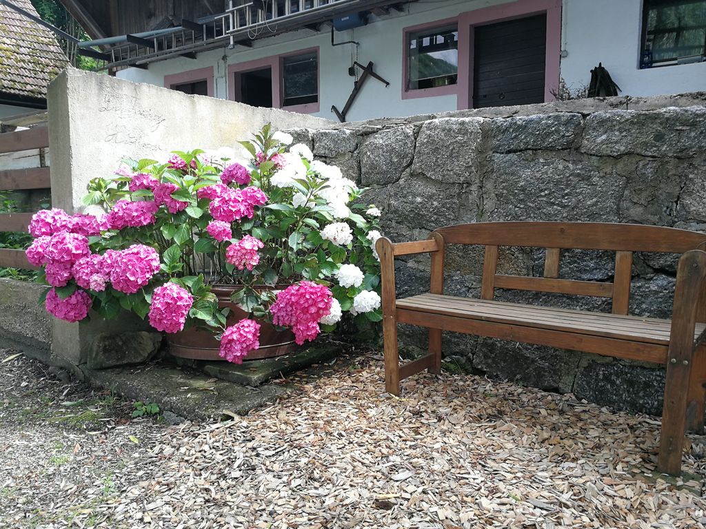 Posizione appartata "Venite in paradiso" fino a 4 p .