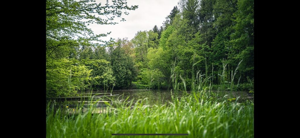 Luogo romantico ai margini del bosco con laghetto