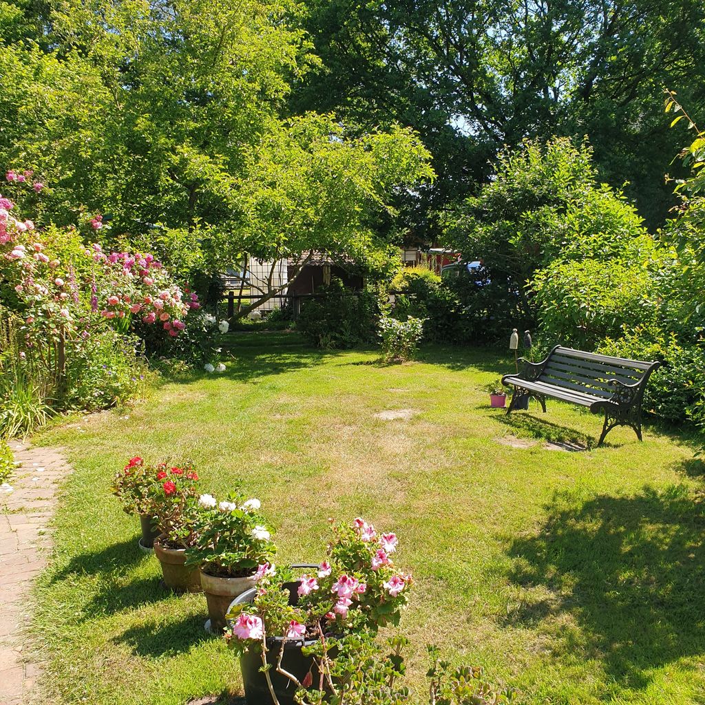 Idyllic place under oaks near the North Sea