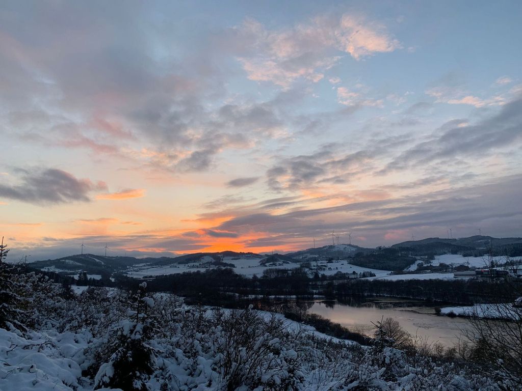 Schwanennest am See in Alleinlage