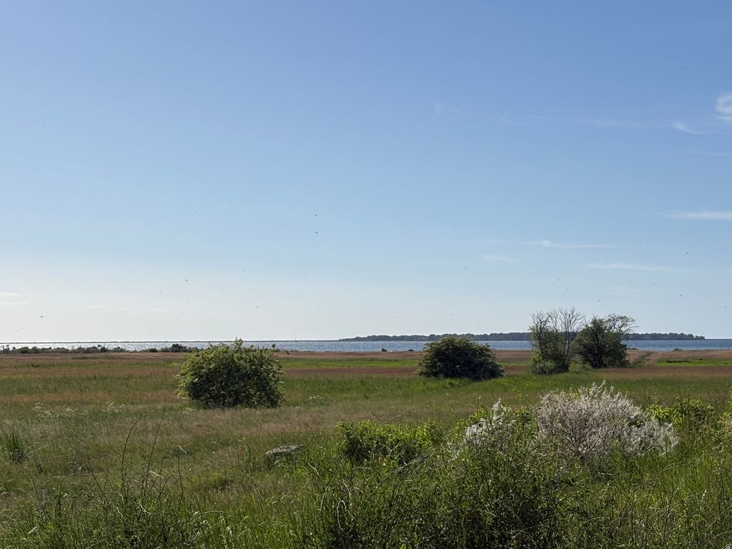 Haffblick: natura allo stato puro sul Salzhaff