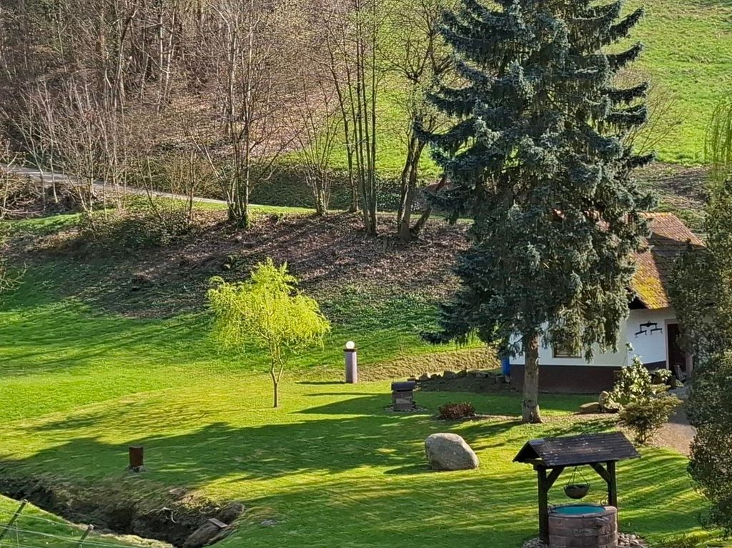  "Grass bathing" on the vineyard 🍇