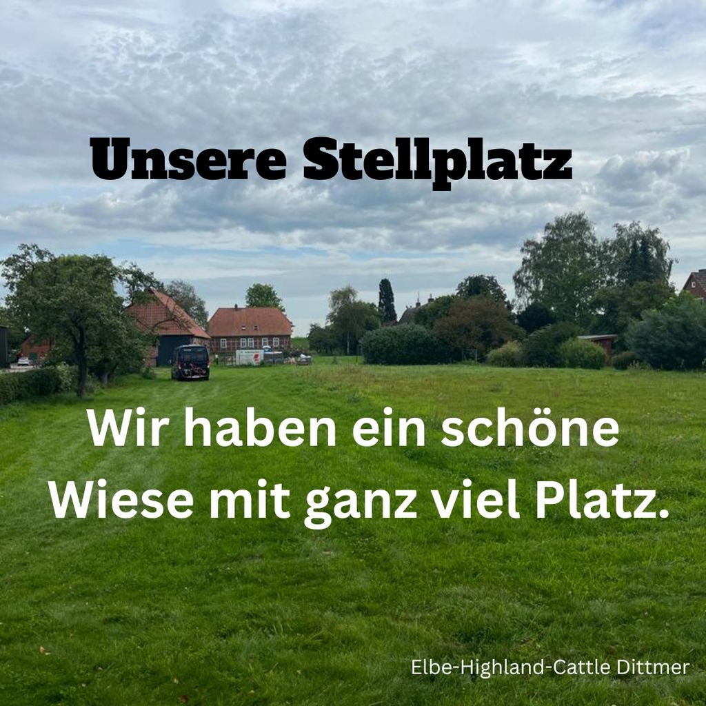 Elbe Highland Cattle Hof Dittmer