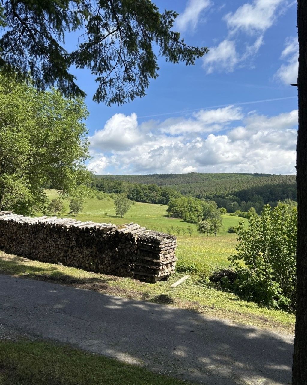 Piazzola immersa nel verde: Waldrand Hofcamp