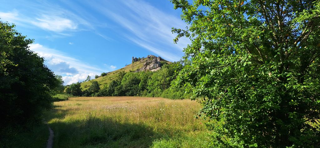 Il mio giardino nella Svizzera francese per voi