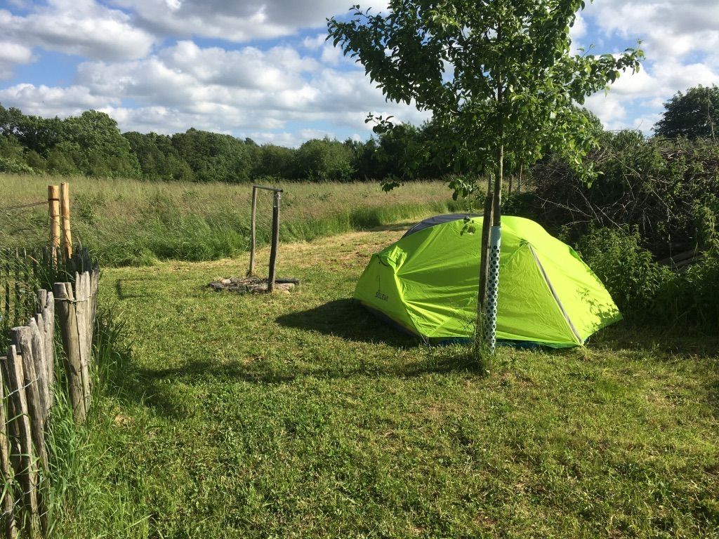 Wild meadow Siegum - on foot to the Baltic Sea