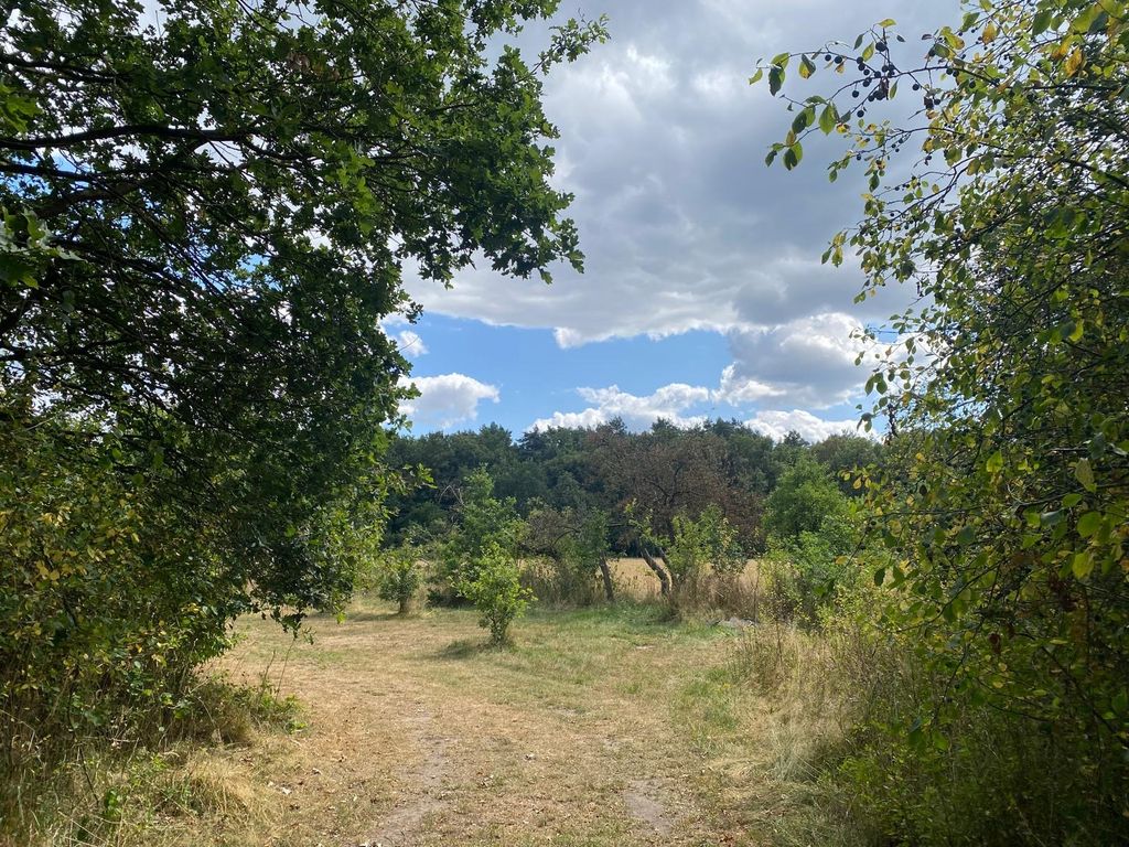 Wunderschöne Natur am Kanuhof