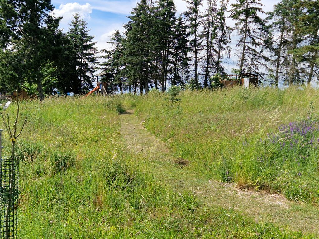 Idylle auf dem Land im lieblichen Taubertal
