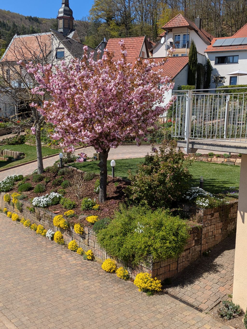 Ruhiger Stellplatz an der südlichen Weinstraße