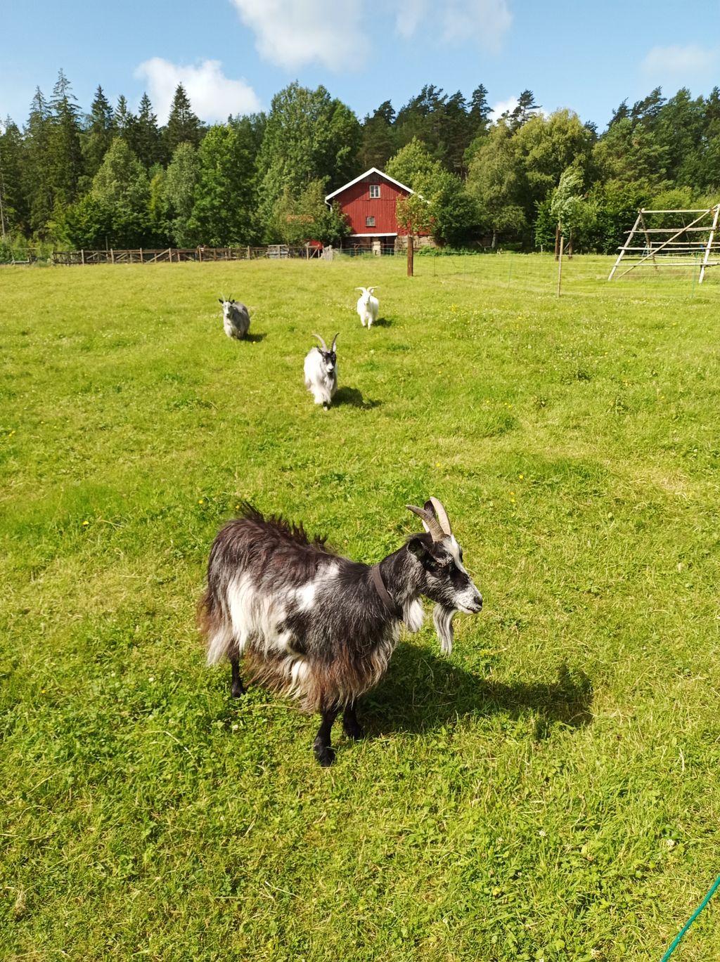 Natur pur in Südschweden 