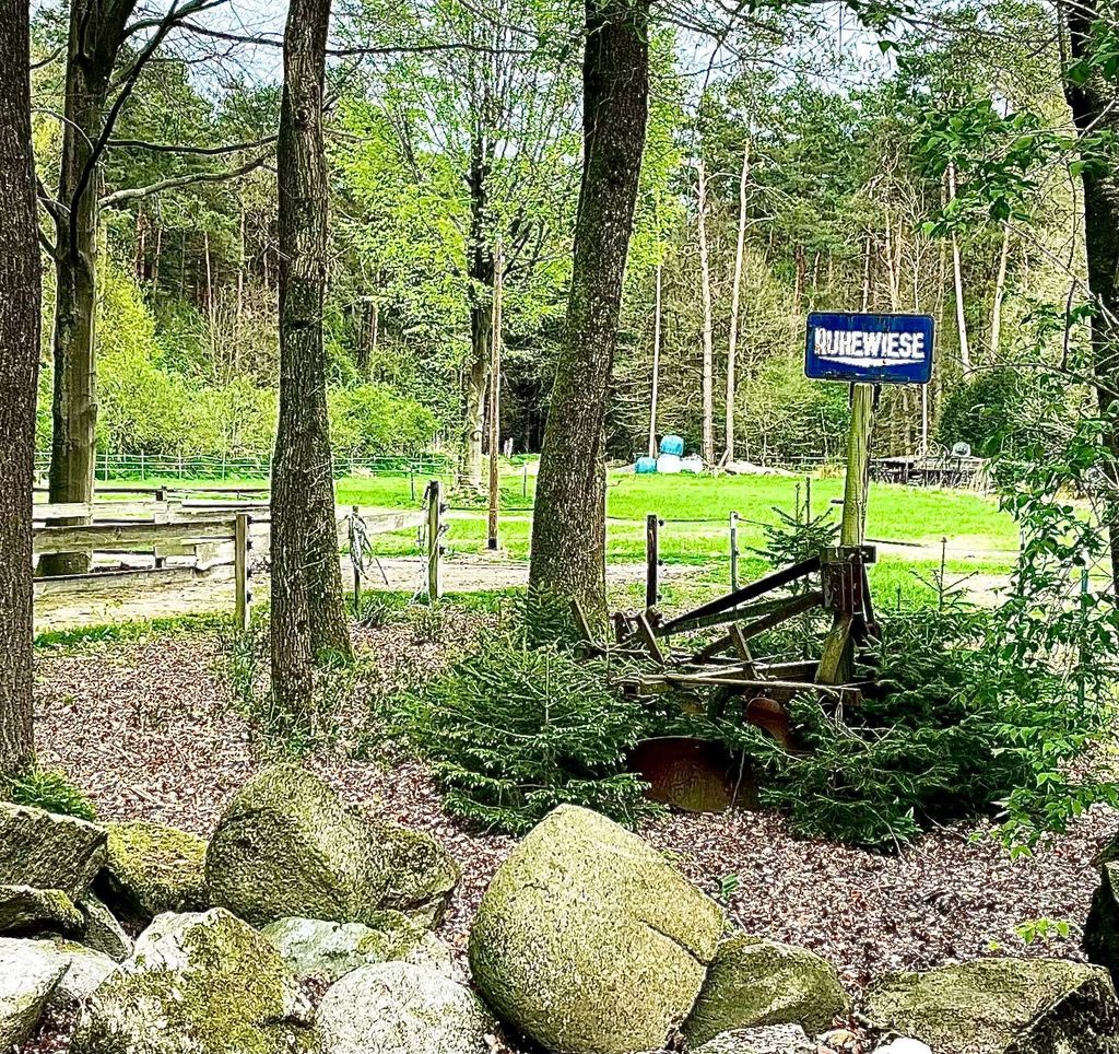 Geheimtipp: Idyllischer Stellplatz im Grünen