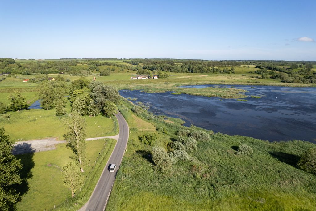 Estancia en Quiet Valley: fauna y vistas del amanecer