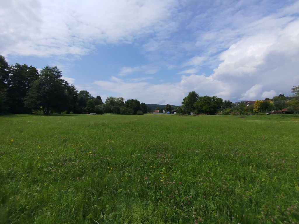 Zeltmöglichkeit mit Gartenhütte unter Bäumen