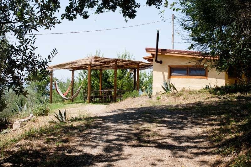 Yurt surrounded by nature