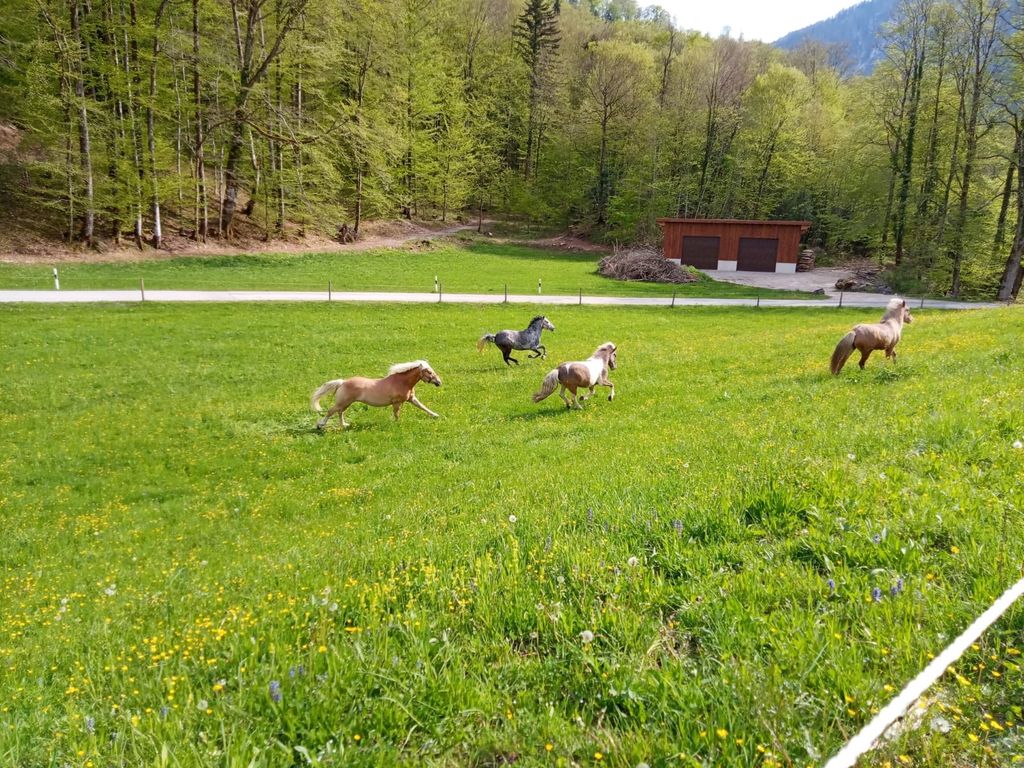 Tempo libero nel bellissimo Berchtesgadener Land