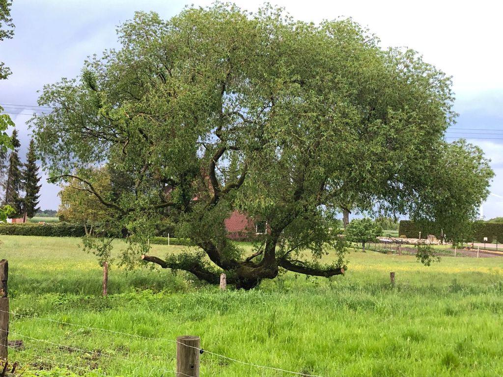 Idyllische Auszeit auf dem Land 