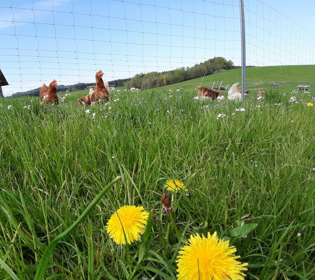 Piazzola per 1-2 notti a Prien am Chiemsee.  
