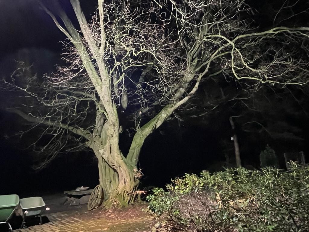 Parcela junto a pasto para caballos y estanque natural