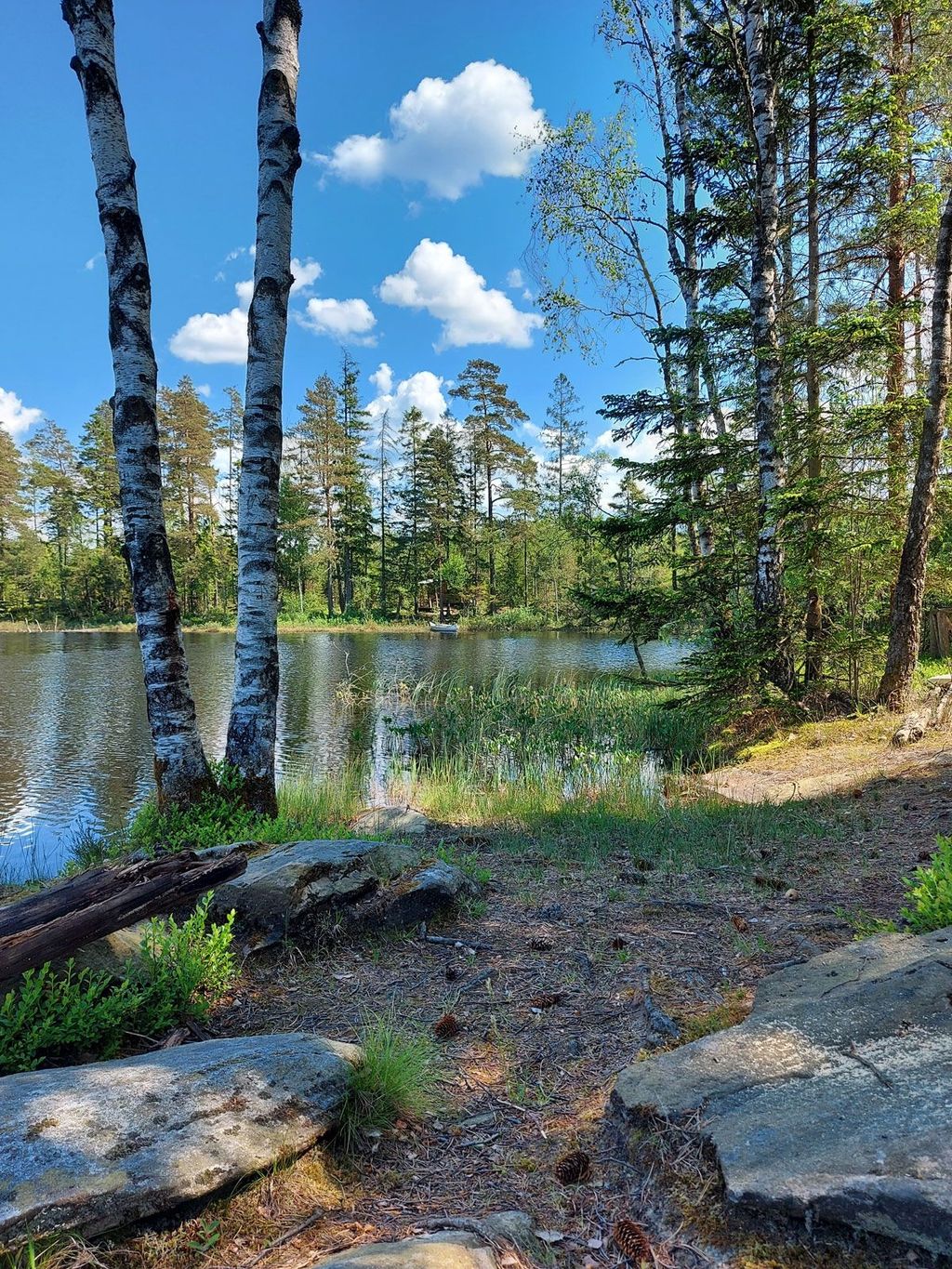 Tiny-House Myra /Svezia Lago Foresta balneare Natura pura