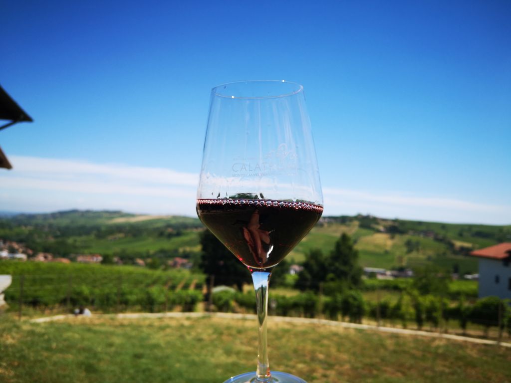 Piazzola vista vigneti