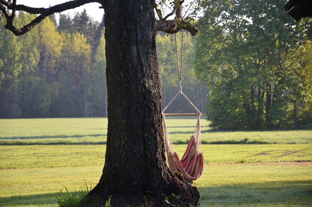 Historischer Hof in Estland: Campen mit Weite