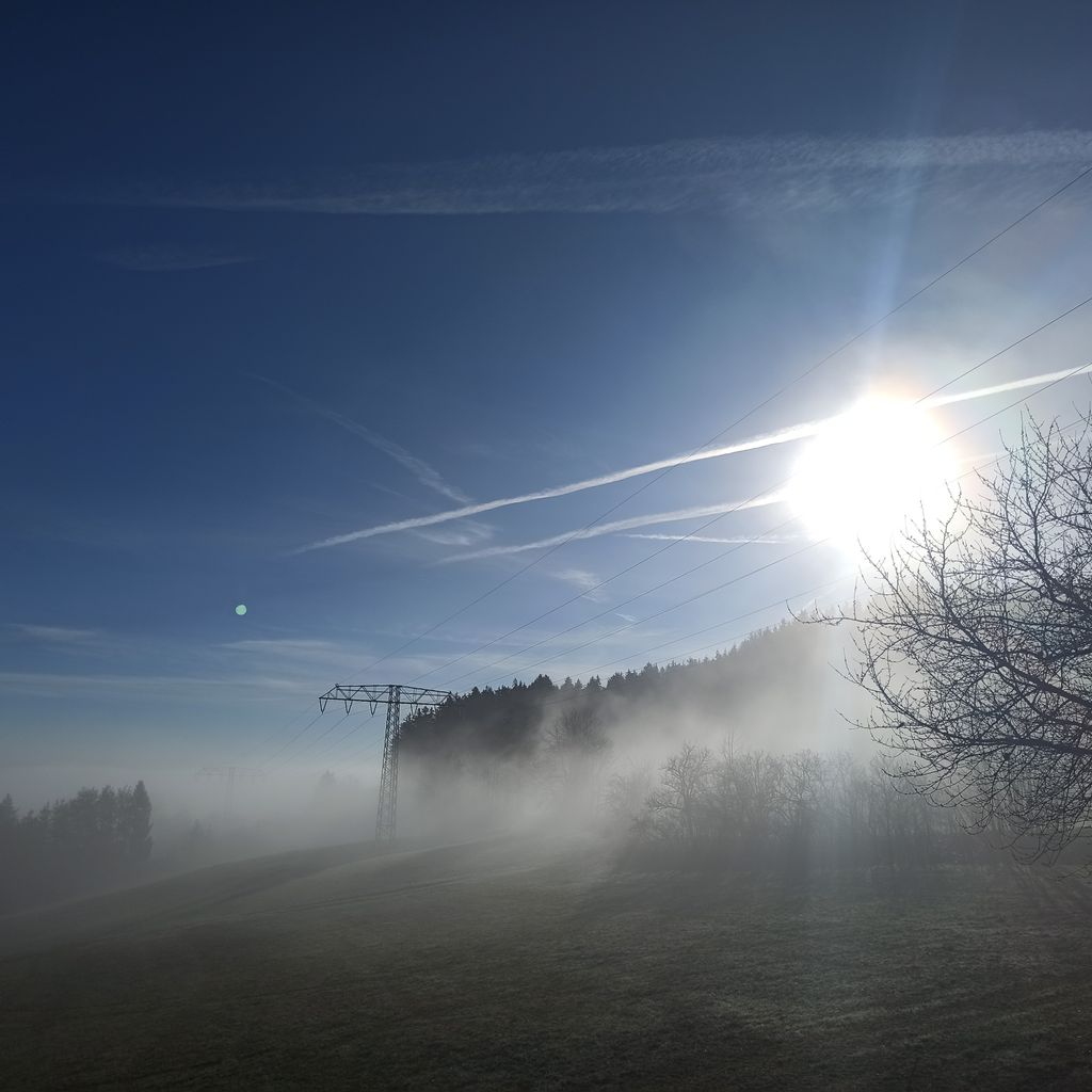 Unterkunft im Schwarzwald zwischen Wald & Wiese