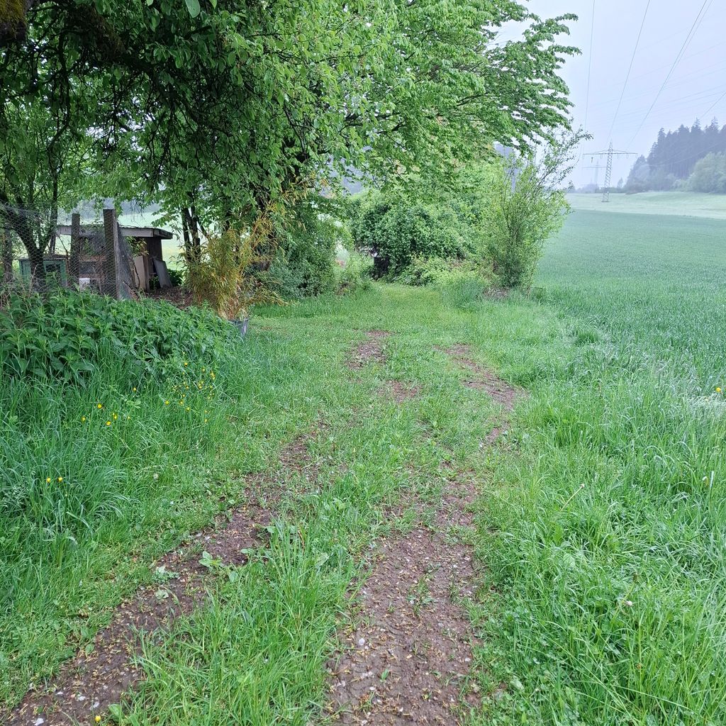 Una notte in campagna vicino al pollaio