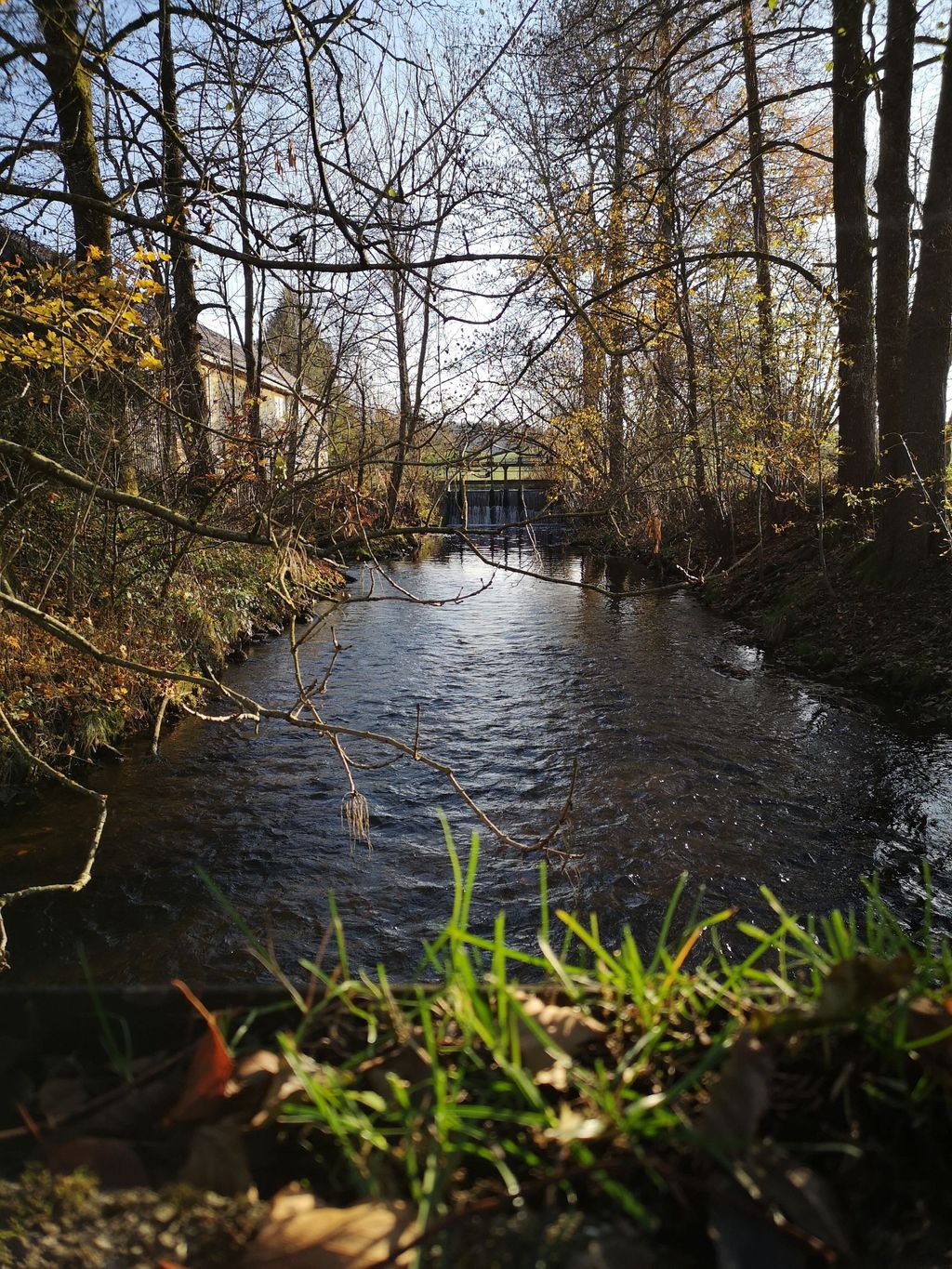 Platz unter den Birken mit Sonnenaufgang