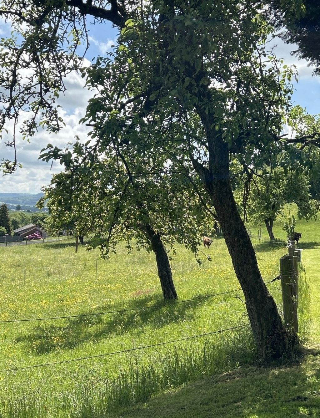 Piazzola immersa nel verde: Waldrand Hofcamp