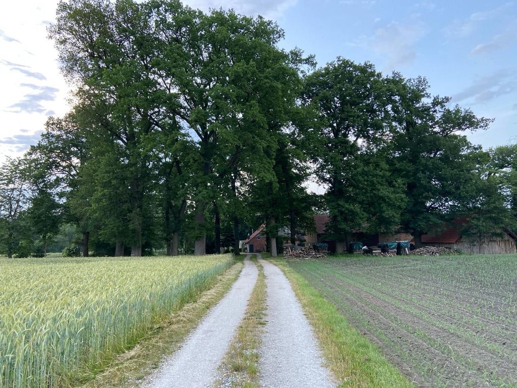 Camping at Hof Kramme