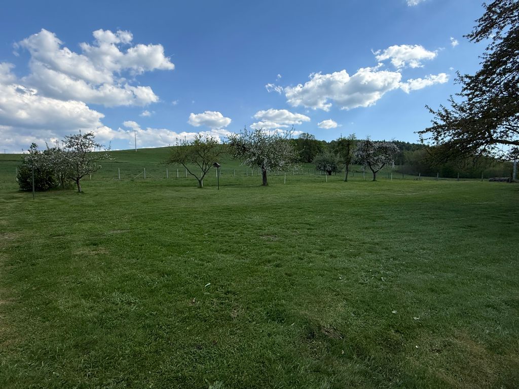 Meadow with far-reaching views of the Thuringian Forest