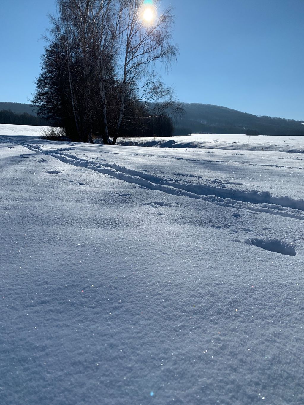 Camping am Czorneboh in der Oberlausitz 