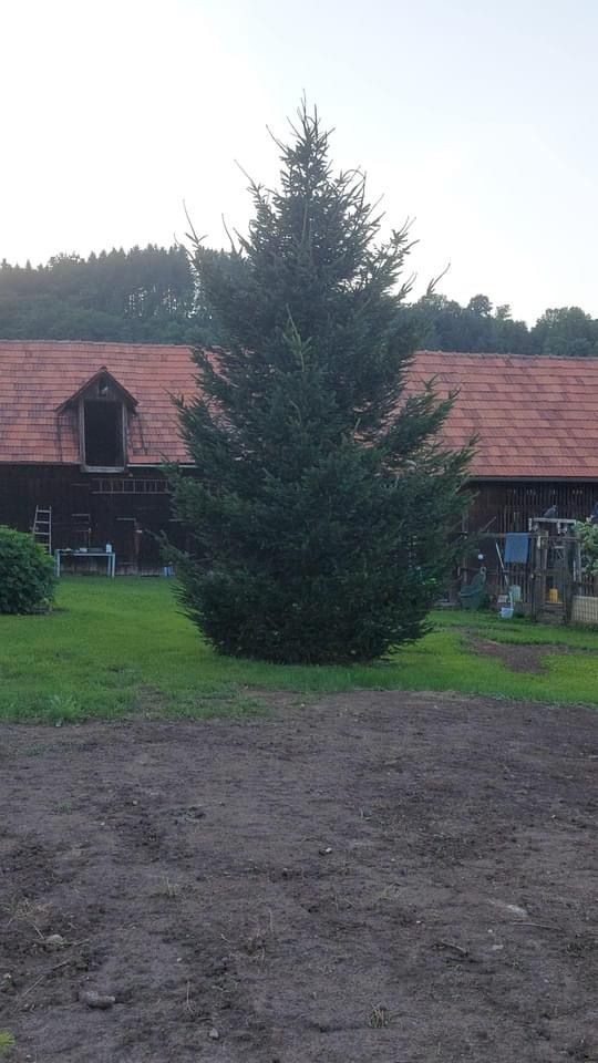 Piazzola per cani in un'antica fattoria
