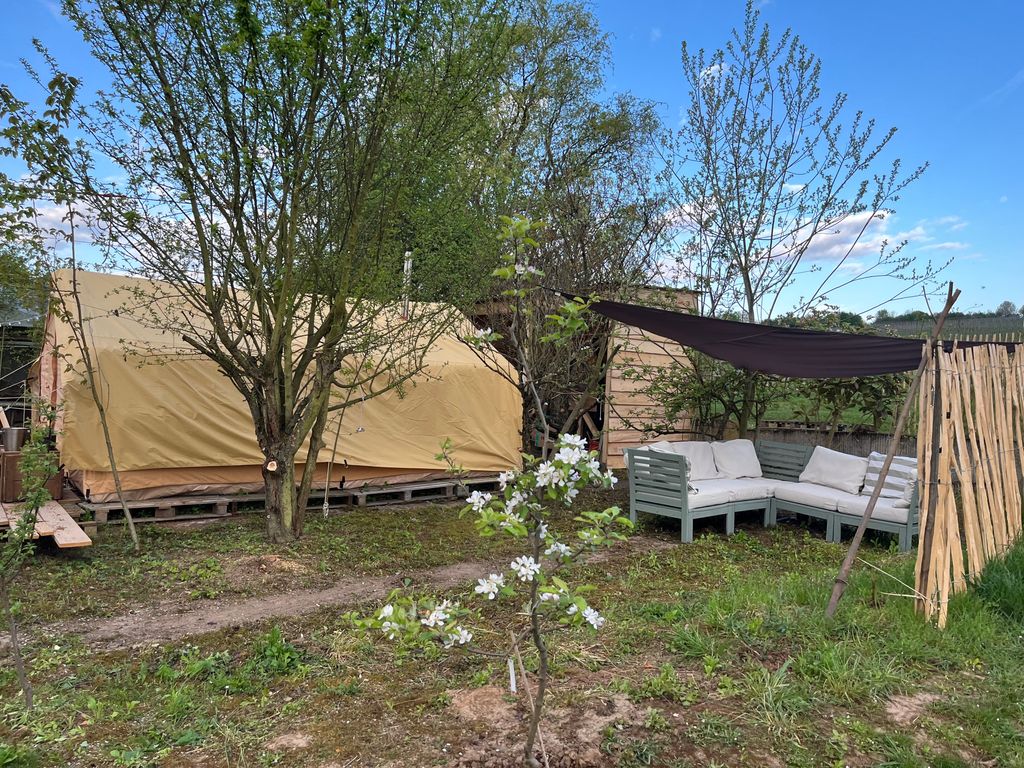 Rheingau-Idylle: Geräumiges Zelt in den Weinbergen