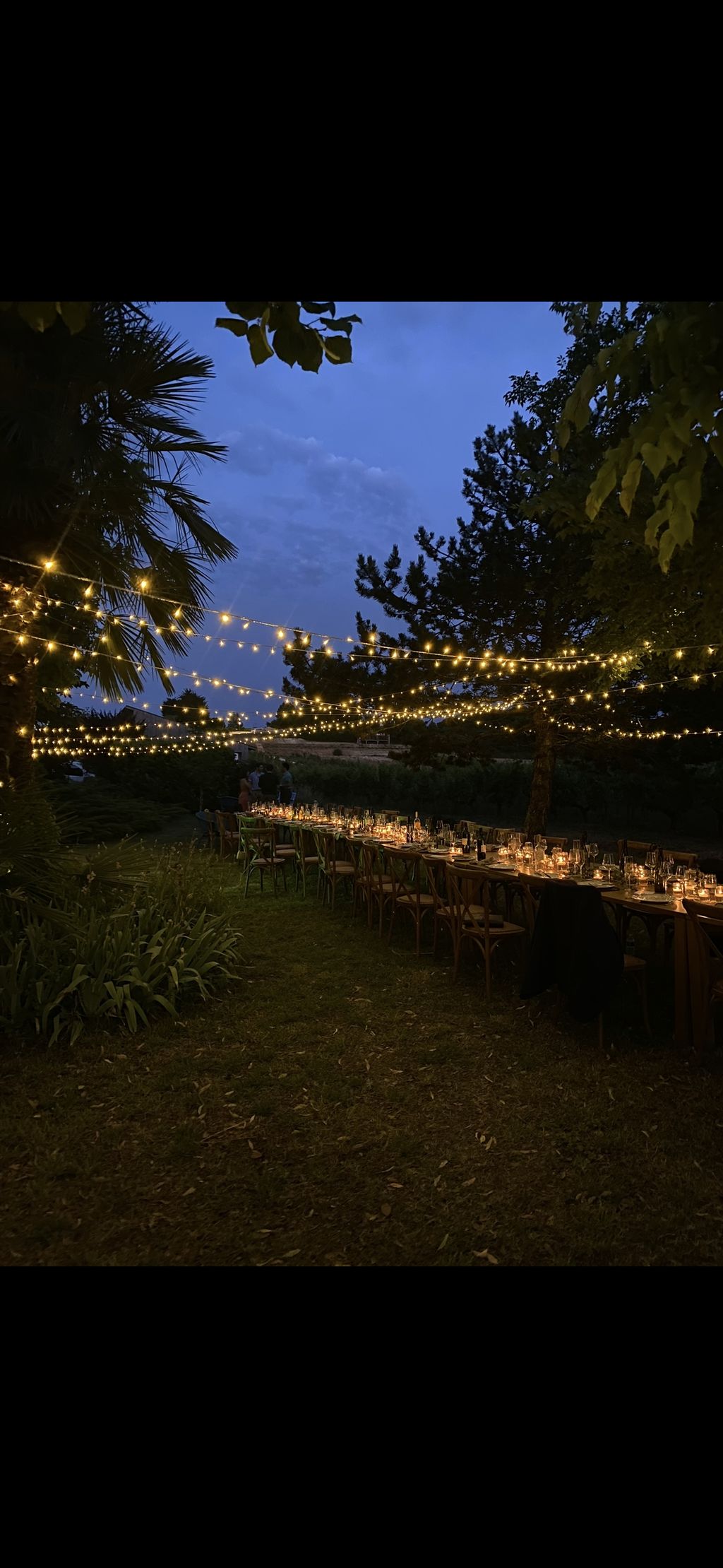 Dégustation & Nuit en Plein Cœur des Vignes