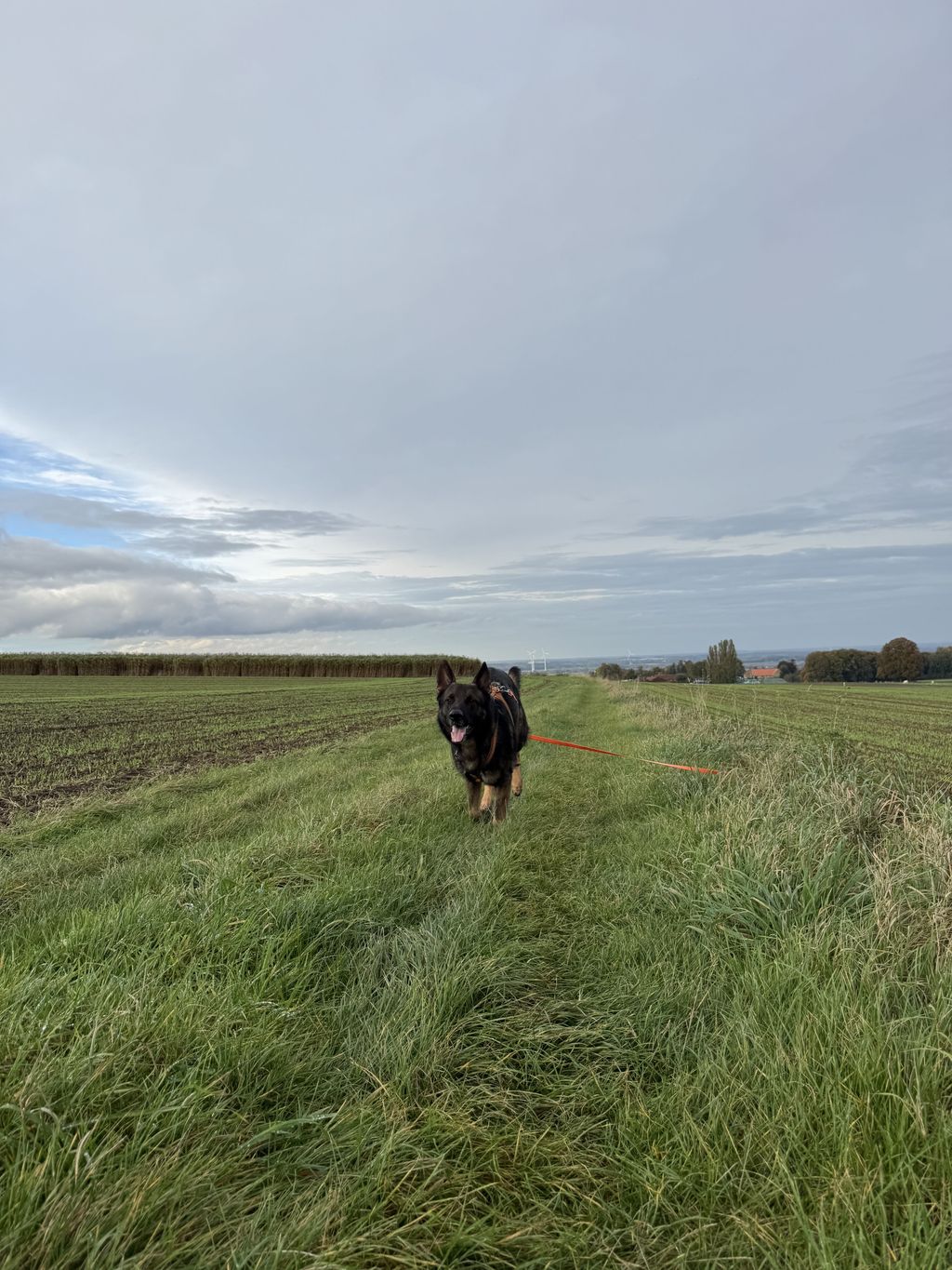 La région de la Ruhr rencontre l'idylle du Sauerland